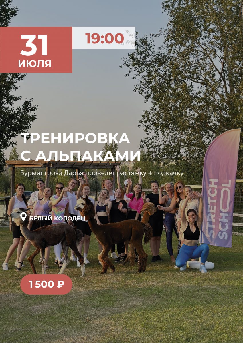 31 июля – тренировка с альпаками в парке “Белый Колодец”